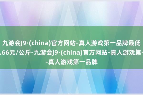 九游会J9·(china)官方网站-真人游戏第一品牌最低报价2.66元/公斤-九游会J9·(china)官方网站-真人游戏第一品牌