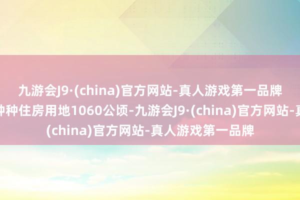 九游会J9·(china)官方网站-真人游戏第一品牌今年度主义安排种种住房用地1060公顷-九游会J9·(china)官方网站-真人游戏第一品牌