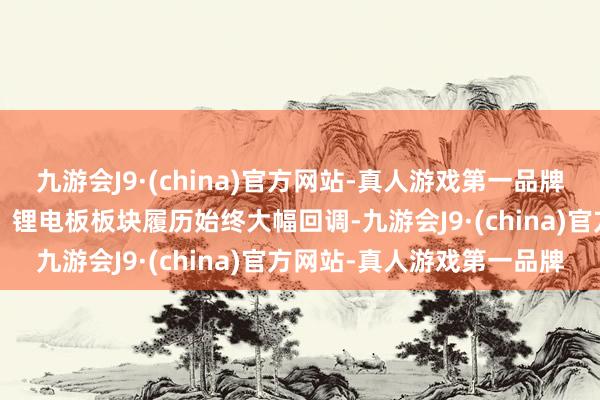 九游会J9·(china)官方网站-真人游戏第一品牌板块估值具备安全垫：1）锂电板板块履历始终大幅回调-九游会J9·(china)官方网站-真人游戏第一品牌