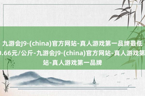 九游会J9·(china)官方网站-真人游戏第一品牌最低报价10.66元/公斤-九游会J9·(china)官方网站-真人游戏第一品牌