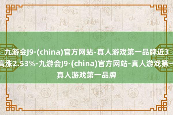 九游会J9·(china)官方网站-真人游戏第一品牌近3个月高涨2.53%-九游会J9·(china)官方网站-真人游戏第一品牌